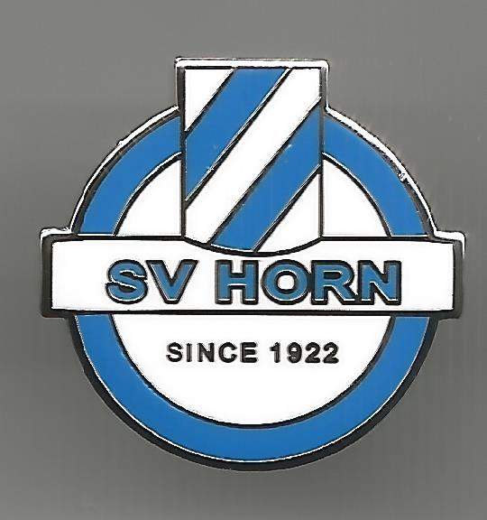 Pin SV Horn